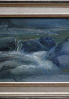 cowichanriver2