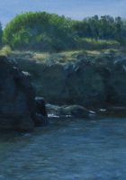 img 6531crop