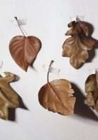 winter leaves light